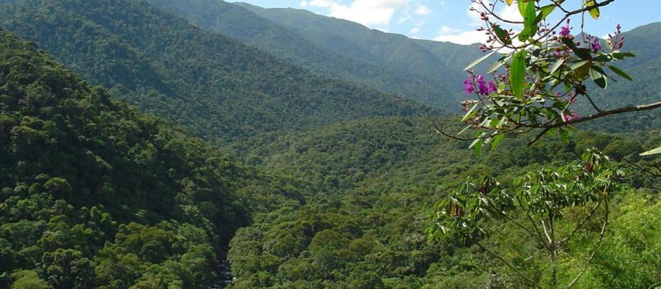 Stay In Itatiaia イタチアイア エクステリア 写真